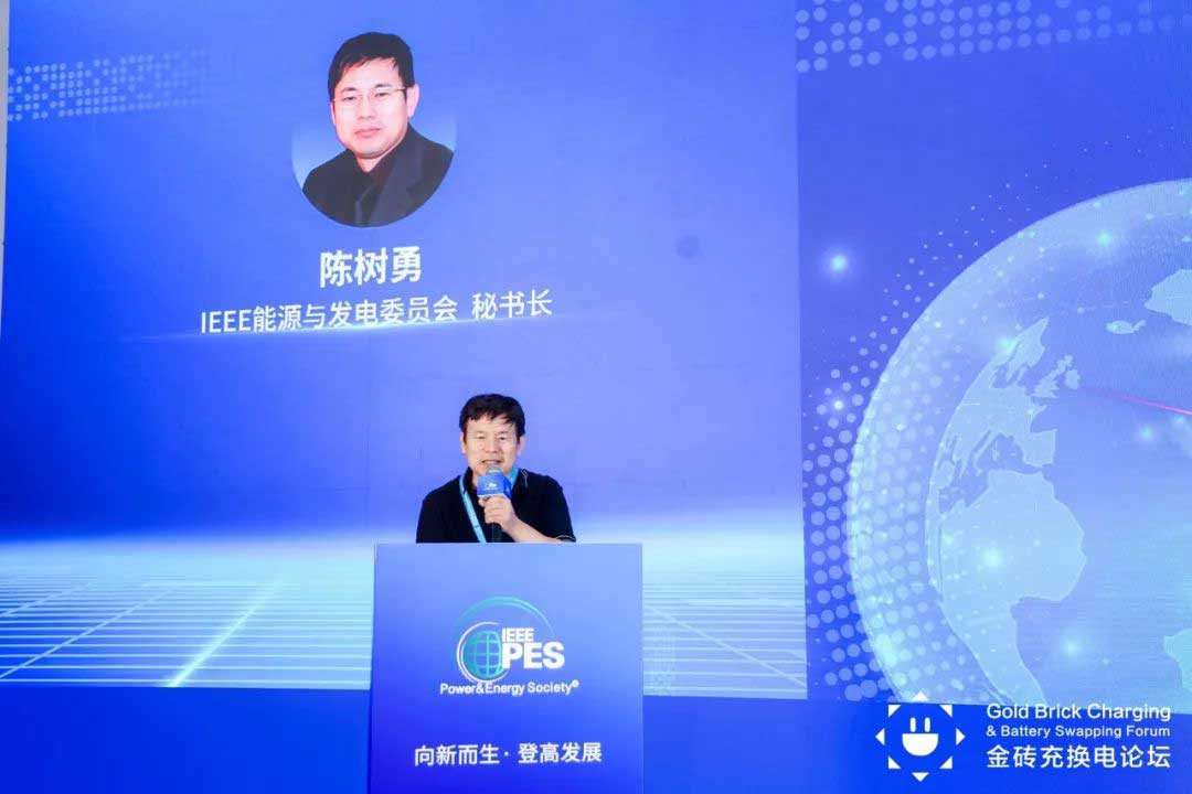 IEEE PES能源與發(fā)電委員會(huì)秘書長(zhǎng)陳樹勇