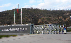 延安勞山雞業(yè)有限責任公司伸縮門案例 - 中出網(wǎng)-智能出入口門戶