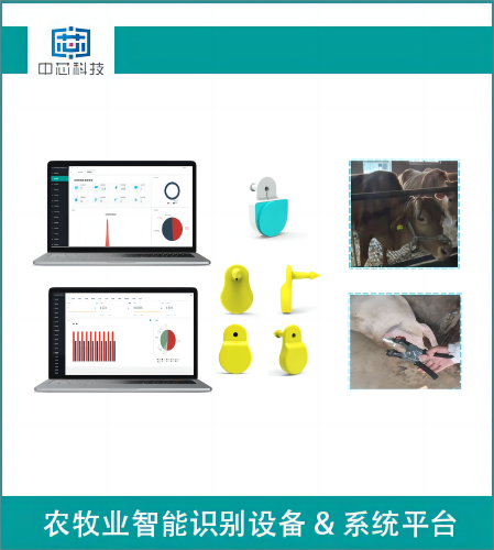 智能畜牧測溫耳標(biāo)管理系統(tǒng)
