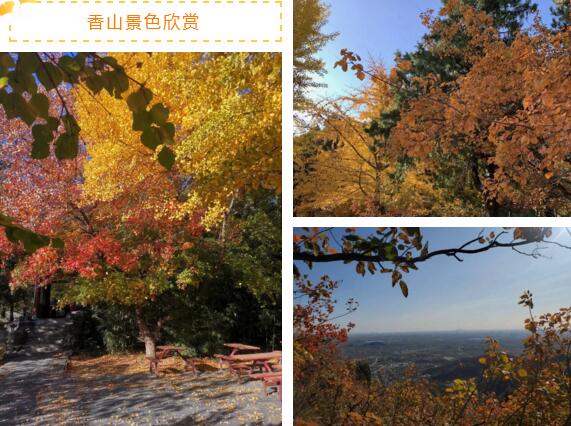 香山景色欣賞
