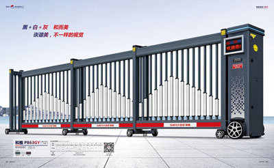 和雅P863GY
