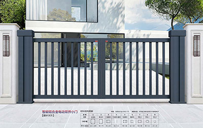 其他 - 智能鋁合金電動雙開小門 SK-01G