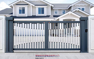 其他 - 智能鋁合金電動(dòng)雙開(kāi)小門(mén) SK-02GY