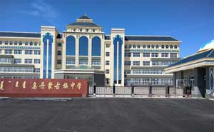 烏丹鎮(zhèn)蒙古族中學(xué)電動(dòng)伸縮門工程